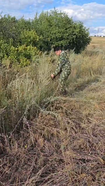 покос травы