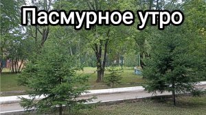 15-08-2026. Пасмурное утро.