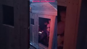 жарим маршмеллоу