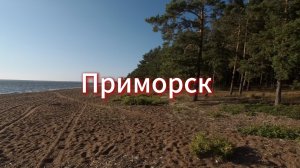 ПРИМОРСК прогулка по эко тропе