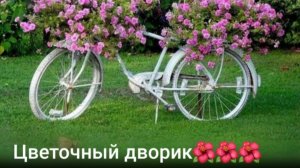 Излишки рстений из личной коллекции.