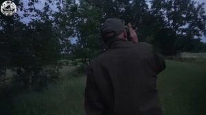 Охота на самца косули. Добыли 2 трофейных козла за вечер. Охота с подхода.mp4