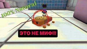 ТАРАКАН С ПЕЧЕНЬКОЙ СУЩЕСТВУЕТ!!!!!!!