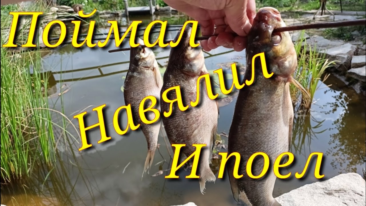 Вялю Рыбу!!! А вы всё еще вымачиваете??? Правильное Хранение рыбы!!!