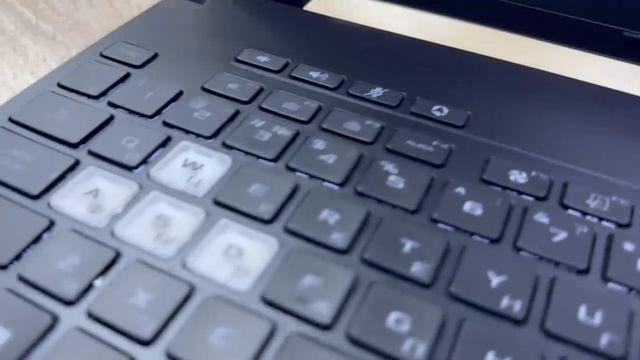 Ноутбук Asus TUF Dash F15 FX517Z