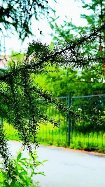 Август в Нерюнгри ✅