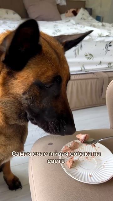 Осуждайте сколько хотите 😂