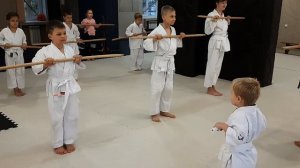 КОТЯТА КАРАТЭ МАЛЫШИ 003