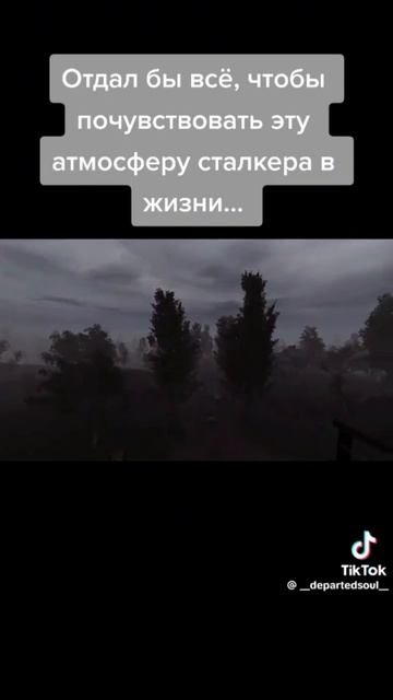 отдал бы все чтобы почувствовать ту самую сталукерскую атмосферу
