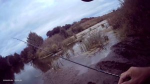 Рыбалка на Мормышинг🎣 Половил Окушка на мормышку 0,6 грамма. Приманка (Кислотная).