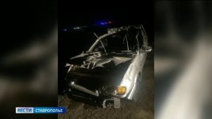 На Ставрополье при столкновении с лошадью погибли водитель и пассажир