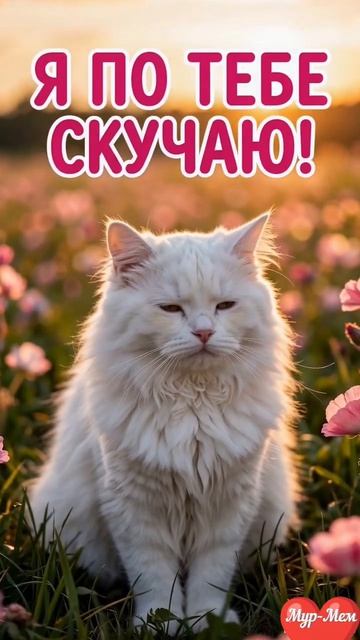 🐱🌸 Я ПО ТЕБЕ СКУЧАЮ! 💗