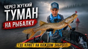 СКВОЗЬ ЖУТКИЙ ТУМАН НА РЫБАЛКУ В ЛОГОВО К ЩУКАМ!