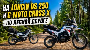 По лесной дороге на Loncin DS 250 и G-Moto Cross | Рибшево — Пржевальское