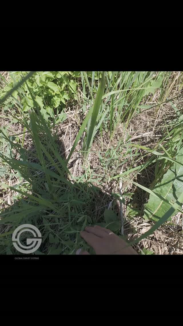 Ландшафтный дизайн. Не споткнись.