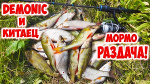 ХОРОШИЙ ОКУНЬ И ПЛОТВА! МОРМЫШИНГ РУЛИТ! DAYO DEMONIC И SEACHASER!