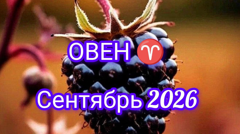 ОВЕН ♈ сентябрь 2026 года. Гороскоп и расклад таро 🔮
