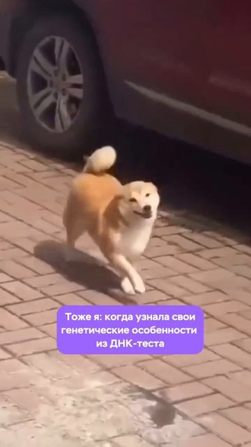 Зачем знать свою генетику?