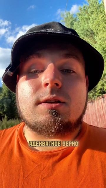 Творчество  не для всех но оно точно для кого-то. Мотивация от BAKENBROZ 