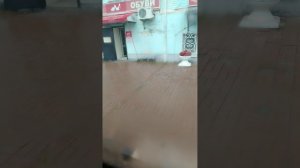 Поездка на автобусе в ульяновске