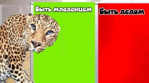 башня возраста в roblox!