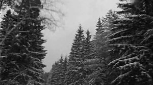 Хорошая наша музык.комедия отрывок 60 х