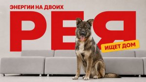 Рея — энергии на двоих. Ищет дом