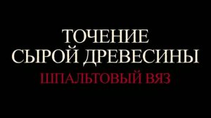Токарка по дереву Точение Шпальтового Вяза Токарные заготовки дерева Как выставить подручник