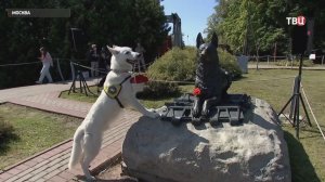 Москвичей пригласили отметить День фронтовой собаки