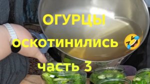 15-08-2026 ОБЗОР НА КАНАЛ ДЕВУШКА С УРАЛА 😆каравай ...😆
