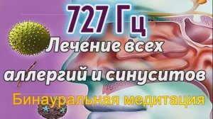 Лечение Всех Аллергий и Синуситов*Частота Райфа 727 Гц*Лечебная Звуковая Терапия