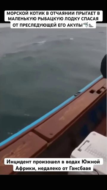 Поступок ЧЕЛОВЕКА!!!