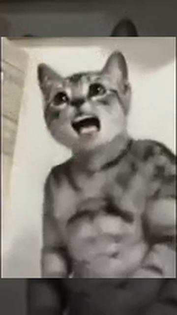 НЕ ДОБАВЛЯТЬ МЕНЯ В ЧАТЫ
