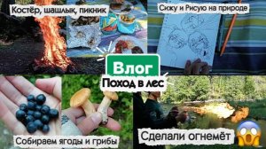 ВЛОГ про поход в лес🌿