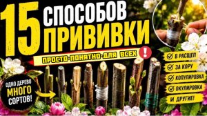 Как привить Любое Дерево: 15 Простых и Эффективных Способов