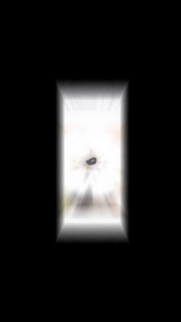 1000005231.mp4
