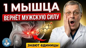 Как СОХРАНИТЬ мужскую тазовую мышцу Даказаны наукой упражнения