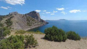 Крым. Новый Свет. Можжевеловая роща, мыс Капчик, прогулка в августе!