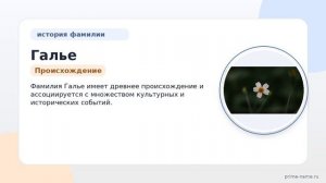 Фамилия Галье: происхождение, значение и склонение