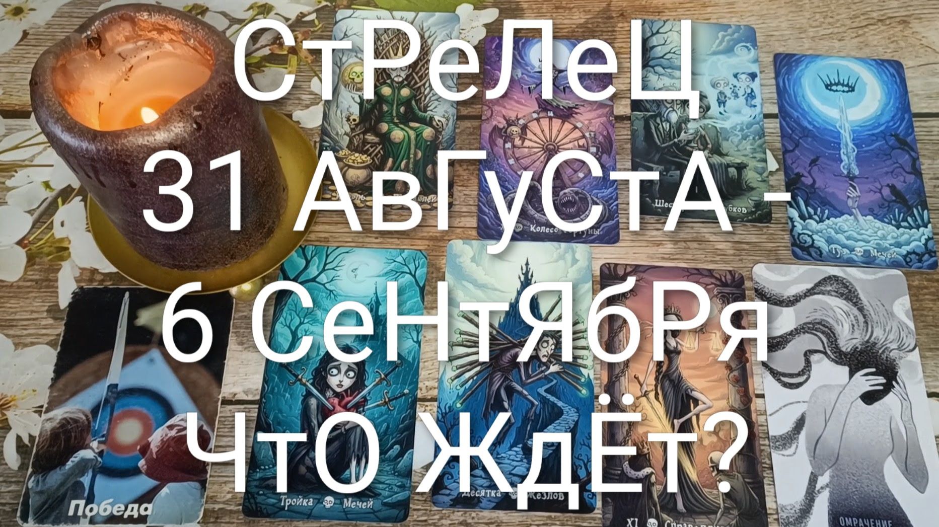 СТРЕЛЕЦ ТАРО НЕДЕЛЬКА 31 АВГУСТА - 6 СЕНТЯБРЯ 😍#ГаданиеНаБудущее#ТароНеделя#ТароПрогноз