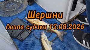 Рыбалка в Челябинской области Ловля судака