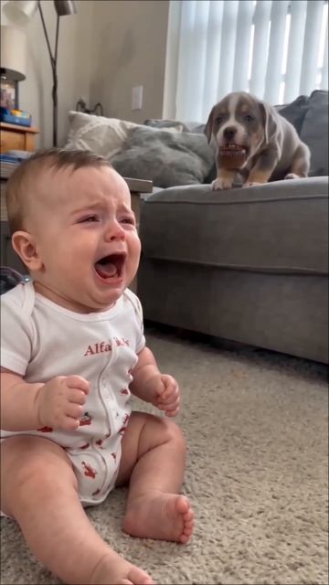 А вы оставляете ребенка наедине с собакой? 🐶