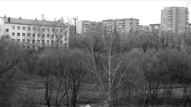 Солнечный декабрь