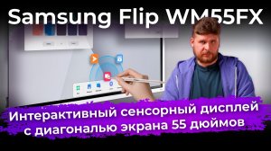 Обзор интерактивного дисплея Samsung Flip WM55FX с диагональю экрана 55 дюймов