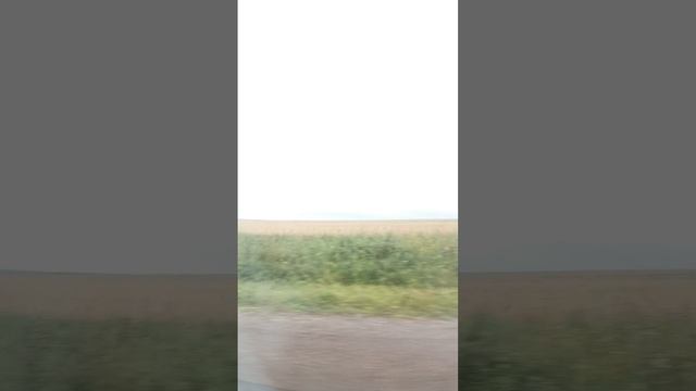 Я еду на дачу