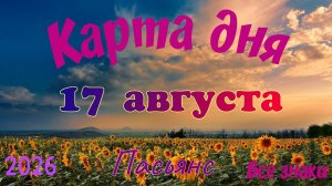 Карта дня🍉17 августа 🐞☘️Пасьянс. Тайм-код в описании 🦢