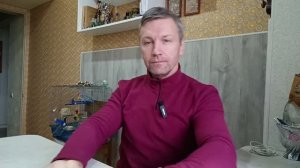КОГО ВЫБРАТЬ РЕБЁНКУ: КОШКУ, СОБАКУ ИЛИ ПОПУГАЯ?