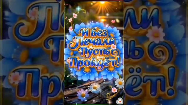 Добрый вечер