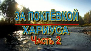 Сквозь завалы и протоки за поклевкой хариуса часть 2