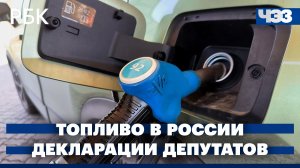 Ситуация с топливом в России. Декларации кандидатов в депутаты Госдумы